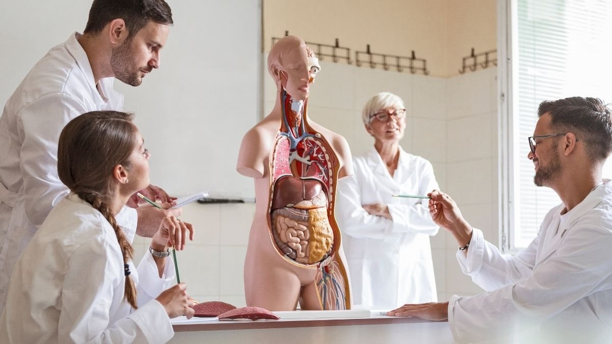 دراسة الطب في أمريكا